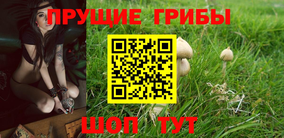Галлюциногенные грибы мицелий Дубна